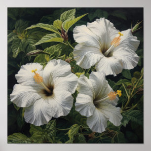 Witte Hibiscus Bloemenkunst Print Poster