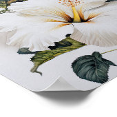Witte Hibiscus Bloemenkunst Print Poster (Hoek)