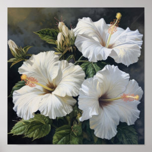 Witte Hibiscus Bloemenkunst Print Poster