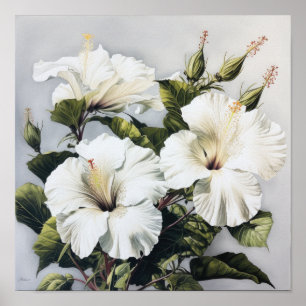 Witte Hibiscus Bloemenkunst Print Poster