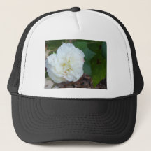 witte hibiscus mutabilis bloem