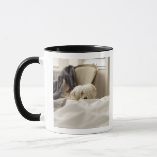 Witte hond die zich achter bed verschuilt (differe mok (Links)