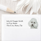 Witte hond hond hond etiket (Insitu)