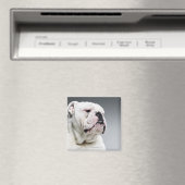 Witte hond magneet (Insitu (Vaatwasser))
