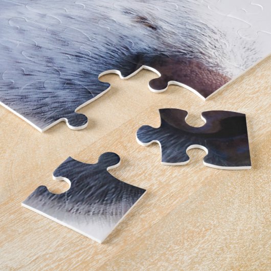 Witte hond met trouwe ogen, Diergezelschapsdieren Legpuzzel (Zijkant)