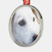 Witte hond met trouwe ogen, Diergezelschapsdieren Metalen Ornament (Links)