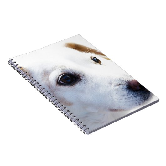 Witte hond met trouwe ogen, Diergezelschapsdieren Notitieboek (Rechterzijde)