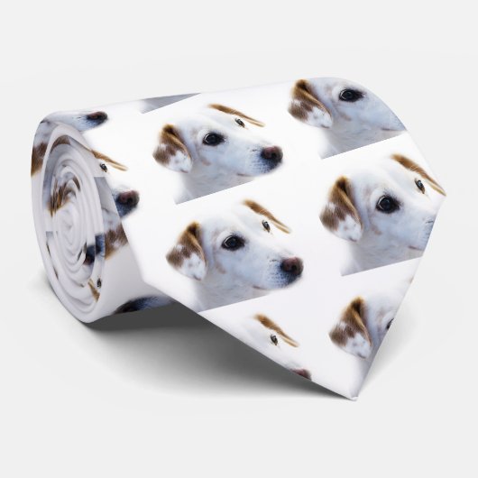 Witte hond met trouwe ogen, Diergezelschapsdieren Stropdas (Opgerold)