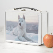 Witte hondje in de sneeuw (In situ)