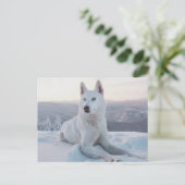 Witte hondje in de sneeuw briefkaart (Staand voorkant)
