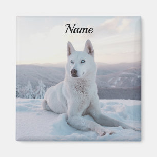 Witte hondje in de sneeuw magneet
