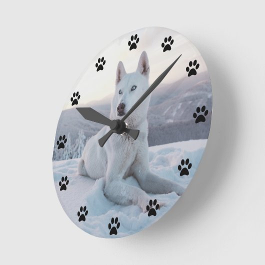 Witte hondje in de sneeuwlaag ronde klok (Hoek)