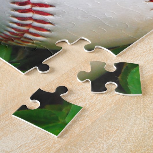 Witte honkbal met rood getikt legpuzzel (Zijkant)