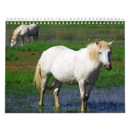 WITTE HORSES KALENDER