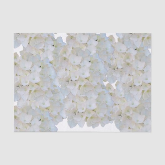 Witte Hortensia Tissuepapier (Voorkant)