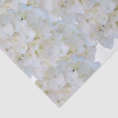 Witte Hortensia Tissuepapier (Detail)