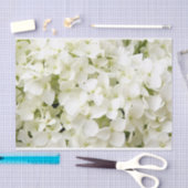 Witte Hortensia Zomerfeest Tissuepapier (Craft)