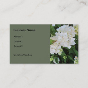 Witte Hortensia's Visitekaartje