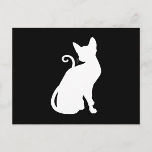 Witte Huis Kat Briefkaart