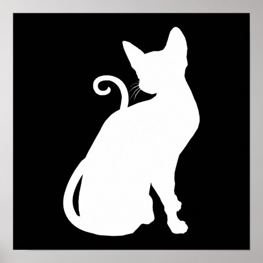 Witte Huis Kat Poster (Voorkant)