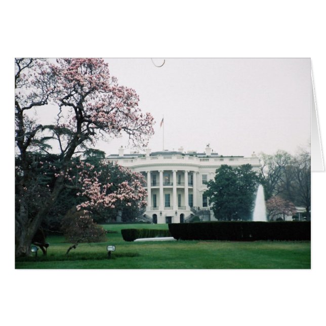 Witte Huis met Cherry Blossom  (Voorkant Horizontaal)