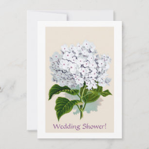 Witte hydrangea flaconpreparaten Illustraties Kaart