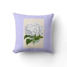 Witte hydrangea  flaconpreparaten Illustraties