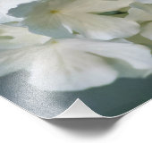 Witte Hydrangea fotoprint 12x12 Foto Afdruk (Hoek)