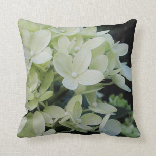 Witte Hydrangea hortensia   Kussen