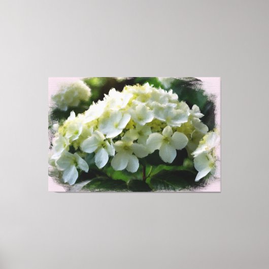 *~* Witte Hydrangea TV2 Art Stretched Canvas Print (Voorkant)