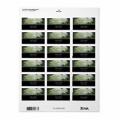 Witte Hydrangeas Adresetiketten Etiket (Full Sheet)