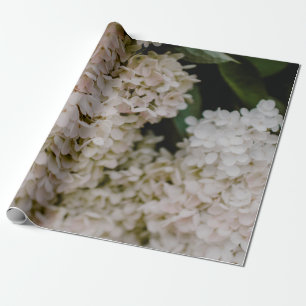 WITTE HYDRANGEAS IN BLOOM CADEAUPAPIER