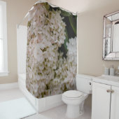 WITTE HYDRANGEAS IN BLOOM DOUCHEGORDIJN (In situ)