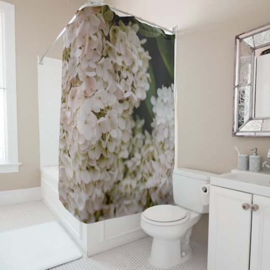 WITTE HYDRANGEAS IN BLOOM DOUCHEGORDIJN (In situ)