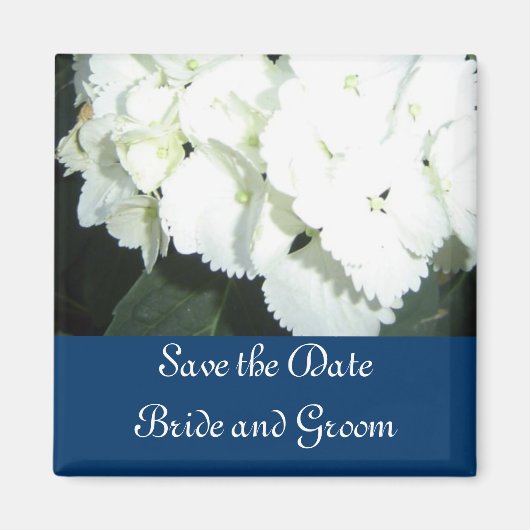 Witte hydrangeas met zeegrens magneet (Voorkant)