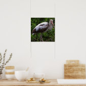 Witte ibis juveniele Poster (Keuken)
