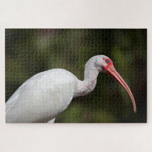 Witte Ibis Legpuzzel