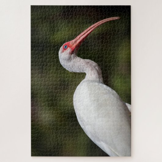 Witte Ibis Legpuzzel (Verticaal)