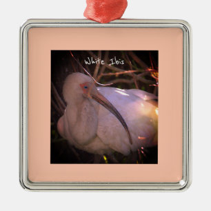 Witte ibis vogel foto Ornament