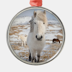 Witte IJslandse paard, IJsland Metalen Ornament