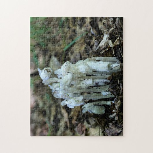 Witte Indische Pijp Ghost Flower Wildbloemen Legpuzzel (Verticaal)