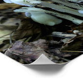 Witte Indische Pijp Ghost Flower Wildbloemen Poster (Hoek)