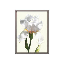 Witte iris bloem canvas foto kunst