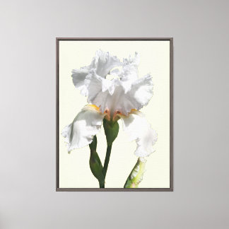 Witte iris bloem canvas foto kunst afdruk