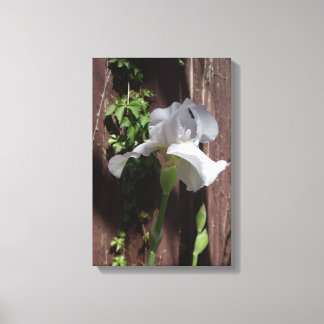 Witte Iris Designerprint Canvas Afdruk