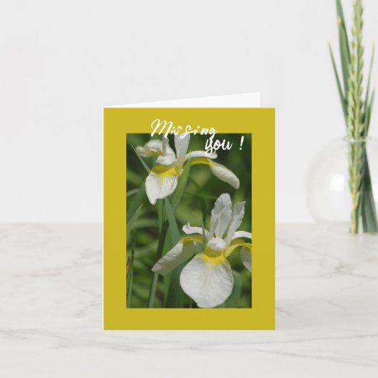 Witte Iris - Ik mis je kaart (Voorkant)