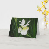 Witte iris kaart (Gele Bloem)