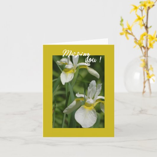 Witte Iris - Missing You Kaart (Gele Bloem)