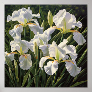 Witte Irissen Bloemenkunst Print Poster