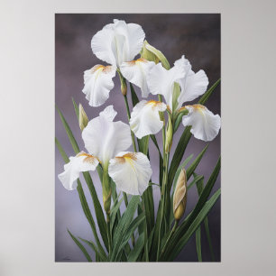 Witte Irissen Bloemenkunst Print Poster